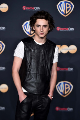 Timothee Chalamet pic #1329455