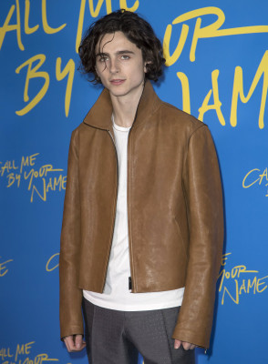 Timothee Chalamet pic #1323483