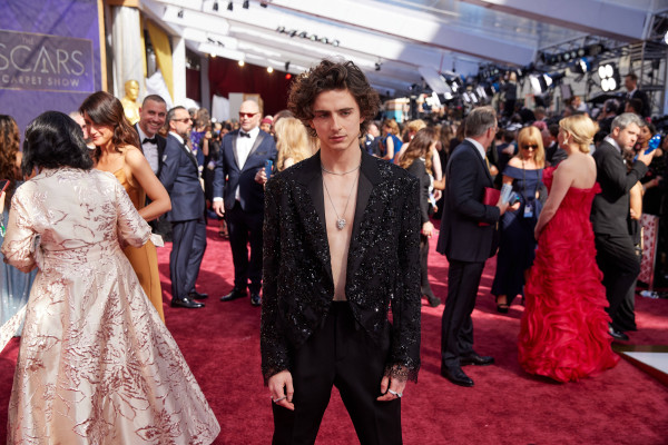 Timothee Chalamet pic #1301047