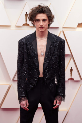 Timothee Chalamet pic #1303368