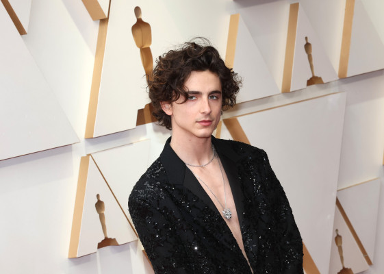 Timothee Chalamet pic #1303367