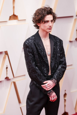 Timothee Chalamet pic #1312098