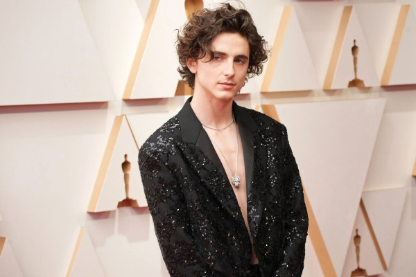Timothee Chalamet pic #1319054