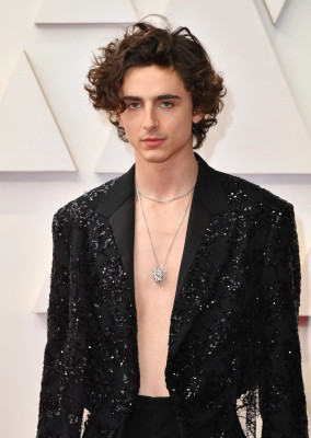 Timothee Chalamet pic #1325924