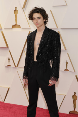 Timothee Chalamet pic #1301048