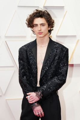 Timothee Chalamet pic #1355826