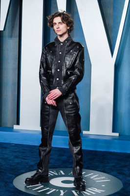 Timothee Chalamet pic #1316569