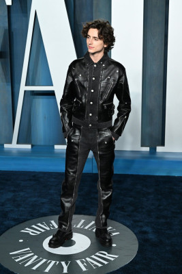 Timothee Chalamet pic #1319263