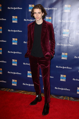 Timothee Chalamet pic #1326439