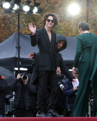 Timothee Chalamet pic #1339537