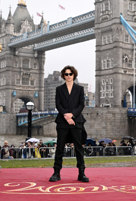 Timothee Chalamet pic #1339534