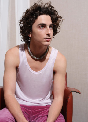 Timothee Chalamet pic #1339576
