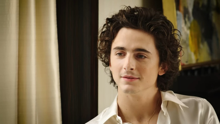 Timothee Chalamet pic #1350404
