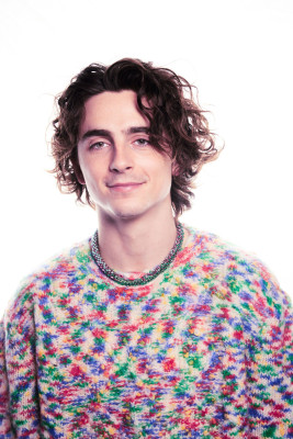 Timothee Chalamet pic #1345525