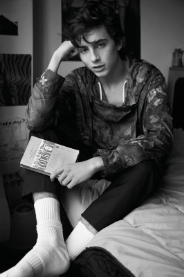 photo 24 in Timothee Chalamet gallery [id974701] 2017-10-27 00:00:00