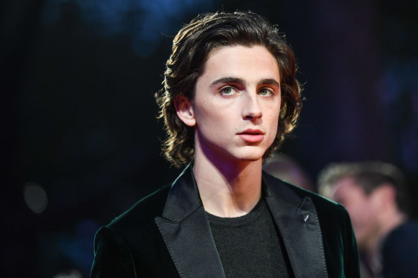 photo 25 in Timothee Chalamet gallery [id978020] 2017-11-10 00:00:00