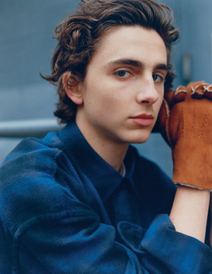 photo 4 in Timothee Chalamet gallery [id975206] 2017-10-29 00:00:00