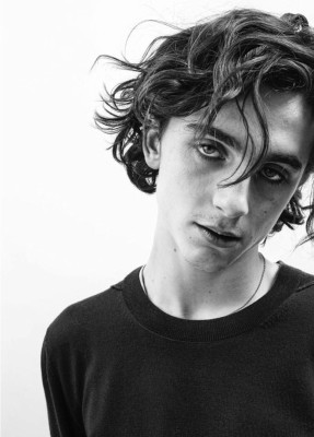 Timothee Chalamet pic #1048529