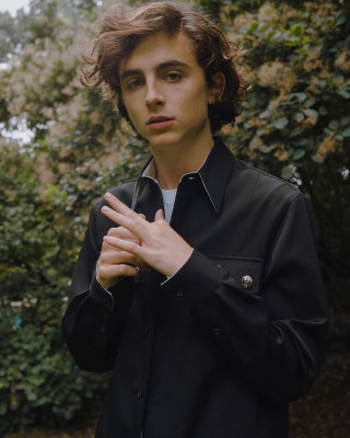 photo 17 in Timothee Chalamet gallery [id978028] 2017-11-10 00:00:00