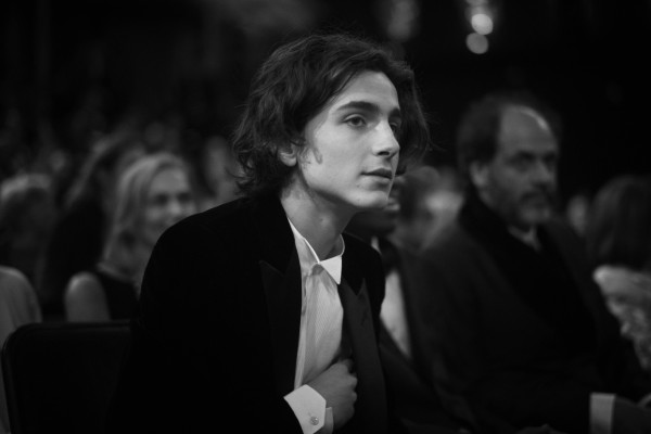 photo 25 in Chalamet gallery [id1048527] 2018-07-08 00:00:00