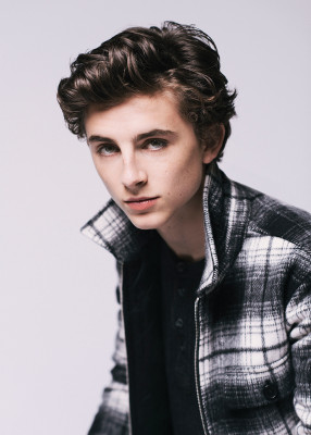 photo 8 in Chalamet gallery [id978037] 2017-11-10 00:00:00