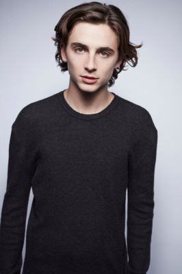 photo 13 in Chalamet gallery [id978032] 2017-11-10 00:00:00