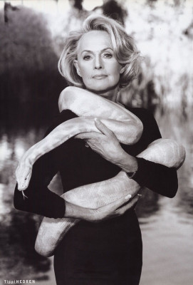 photo 8 in Tippi Hedren gallery [id1310198] 2022-09-22 00:00:00