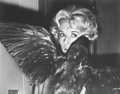 photo 16 in Tippi Hedren gallery [id1310190] 2022-09-22 00:00:00
