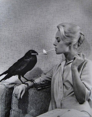 photo 24 in Tippi gallery [id1310182] 2022-09-22 00:00:00