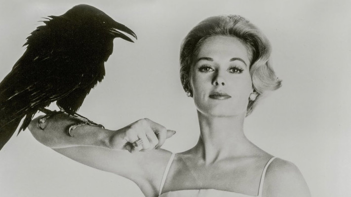 photo 27 in Tippi Hedren gallery [id1310179] 2022-09-22 00:00:00