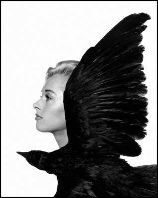 photo 26 in Hedren gallery [id1310180] 2022-09-22 00:00:00