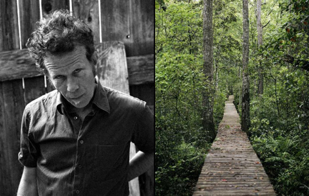 Tom Waits pic #73815