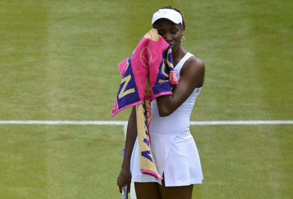 Venus Williams pic #503541