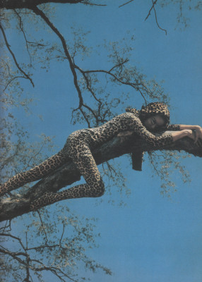 Veruschka von Lendorff pic #386930