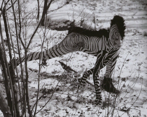 Veruschka von Lendorff pic #381688
