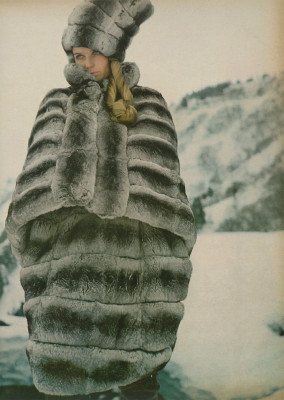 Veruschka von Lendorff pic #248361