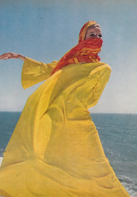 Veruschka von Lendorff pic #334434