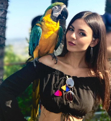 Victoria Justice pic #967895
