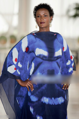 photo 26 in Waris Dirie gallery [id1163454] 2019-07-30 00:00:00