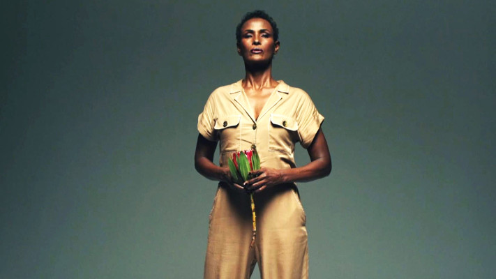 photo 26 in Waris Dirie gallery [id1163514] 2019-07-30 00:00:00
