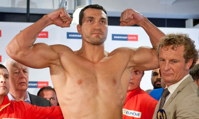 photo 26 in Wladimir Klitschko gallery [id389724] 2011-07-05 00:00:00