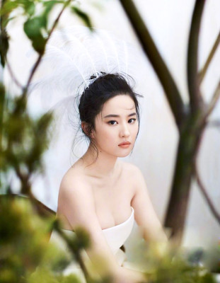 Yifei Liu pic #1120221