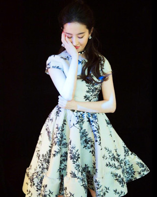 Yifei Liu pic #1120424