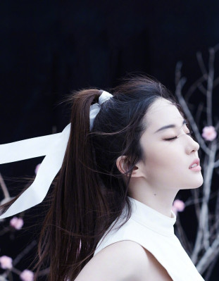 Yifei Liu pic #1120211