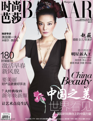 Zhao Wei pic #370963