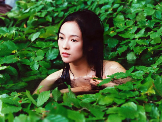 Ziyi Zhang pic #36696