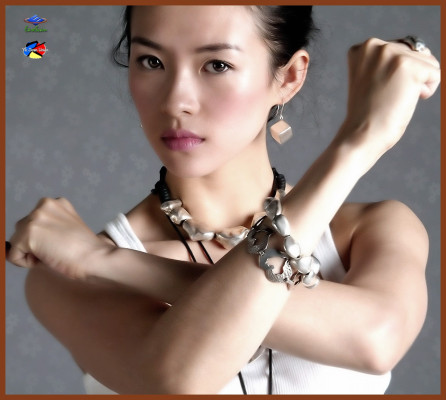 Ziyi Zhang pic #173890