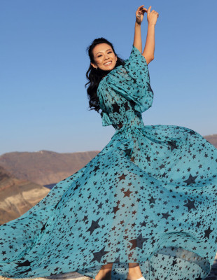 Ziyi Zhang pic #590548