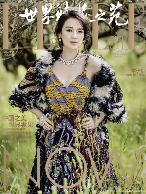 Ziyi Zhang pic #1174785