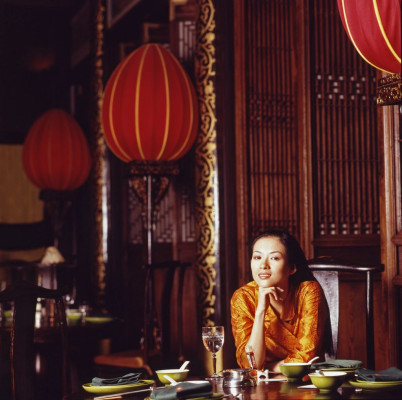 Ziyi Zhang pic #1134098